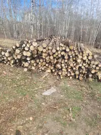 WOOD LOGS FOR SALE