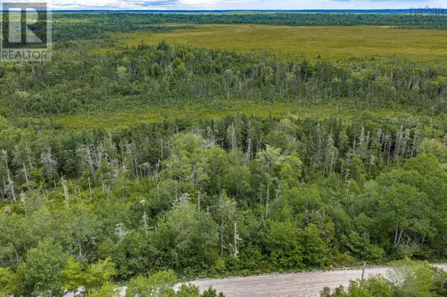 TBD Canada Hill Road Allendale, Nova Scotia in Land for Sale in Yarmouth - Image 3