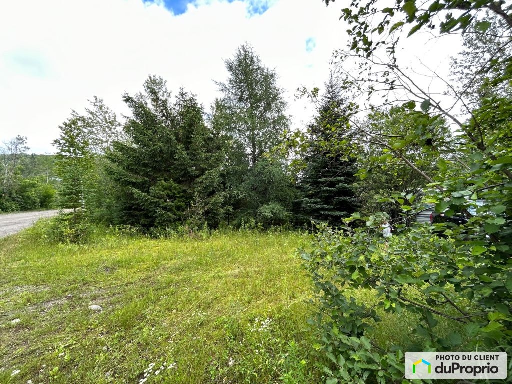 $74,500 - Residential Lot for sale in St-Adolphe-D'Howard — photo 2