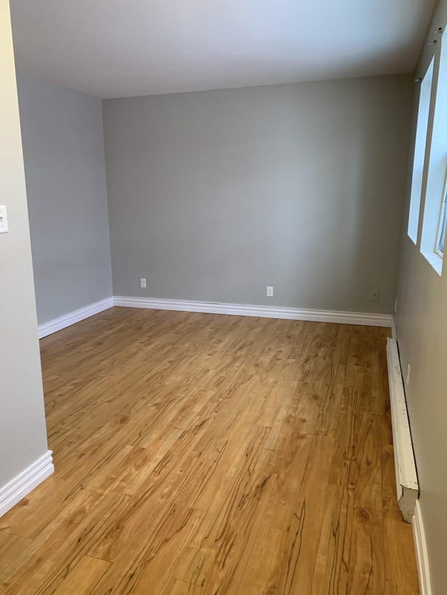 Bachelor Apartment 242 Regent Street December 1! Long Term Rentals