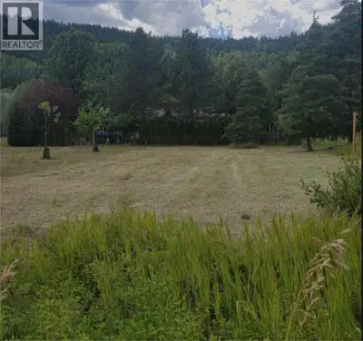 Bright & sunny building lot in Greenwood BC. This parcel is flat and ready to build on with power an...