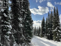 345 PRAIRIE ROAD Smithers, British Columbia Smithers Skeena-Bulkley Area Preview