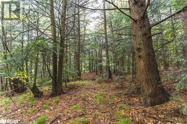 PT LOTS 23 & 24 CON 8 Oro-Medonte, Ontario in Land for Sale in Barrie - Image 8