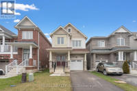 8633 SOURGUM AVE Niagara Falls, Ontario