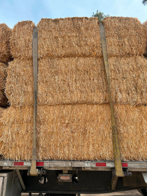 Wheat Straw - Large Bales in Livestock in Penticton - Image 3