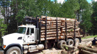 2006 Mack Granite Tri-drive log truck for sale by owner