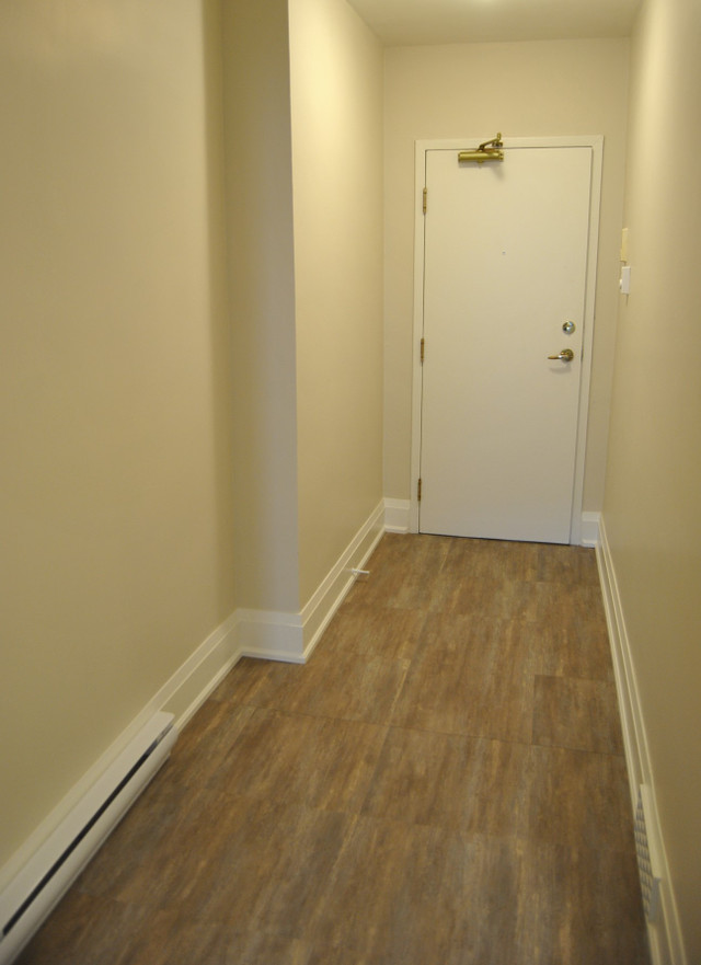 Must-See Remodeled 1 Bedroom in Downtown! in Long Term Rentals in Guelph - Image 2