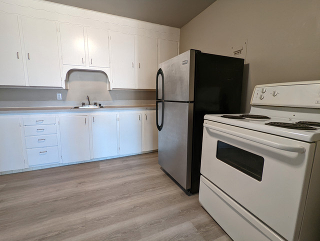 Rosemont Apartment For Rent | Grey Apartments in Long Term Rentals in Regina - Image 4