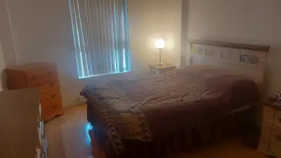 Free furniture (tables, chairs, bedroom set), View more