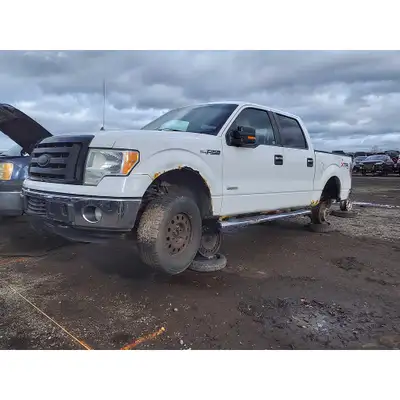 Pull your own used car parts and save BIG on car repairs. Headlights, bumper, hood, doors, mirrors,...