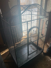 cage  oiseaux