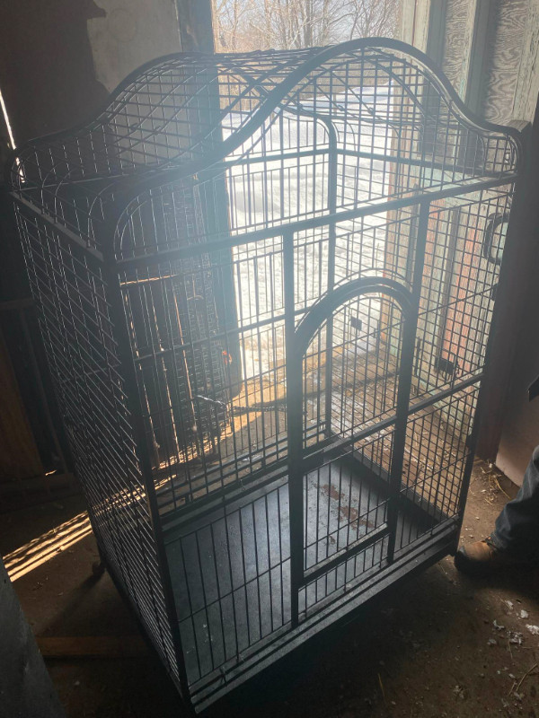 cage  oiseaux dans Accessoires  à Lanaudière