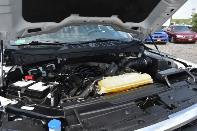 2023 Ford F-150 XLT - 6.5' BOX - 5.0L in Cars & Trucks in Winnipeg - Image 16