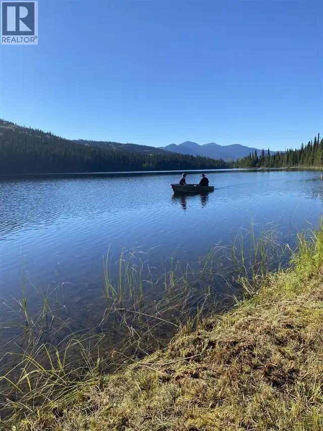 5900 BOWRON LAKE ROAD Wells, British Columbia in Houses for Sale in Quesnel - Image 14