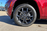 2.0 L 4 Cyl Engine Vehicle Options: Leather Interior, Panoramic Roof, Adaptive Cruise Control, Wirel... (image 8)