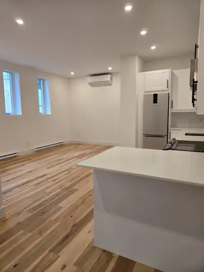 1 Bedroom  Apartment