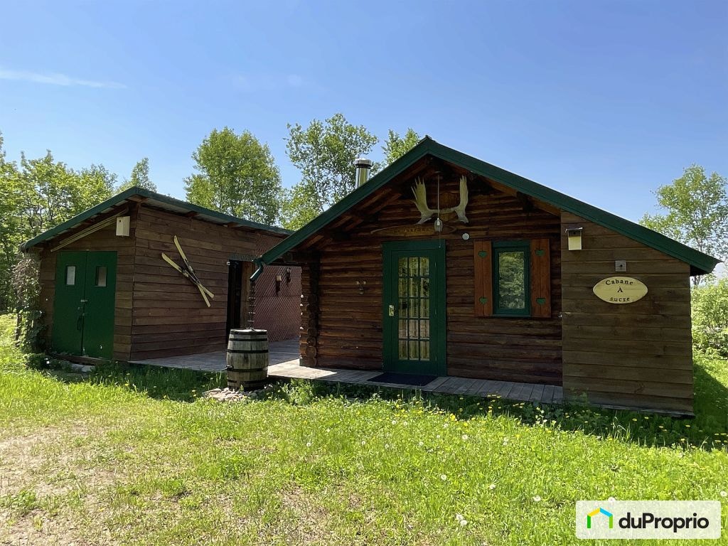 $265,000 - Cottage for sale in St-Felix-D'Otis — photo 1