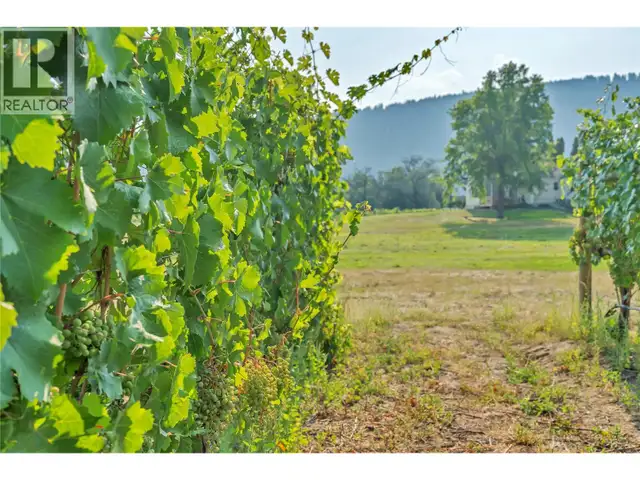1275 Munson Avenue Penticton, British Columbia in Land for Sale in Penticton - Image 34