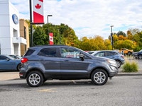 // ACCIDENT FREE!! // // SINGLE OWNER! // Experience versatility and confidence with the 2020 Ford E... (image 1)