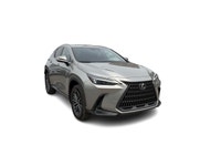 Groupe d'options Ultra Premium. Apple Carplay, Sièges chauffants et ventilés, volant chauffant, toit... (image 2)