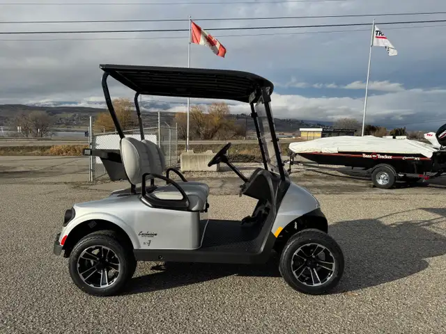 2026 EZGO RXV2 Freedom Platinum in ATVs in Vernon - Image 3