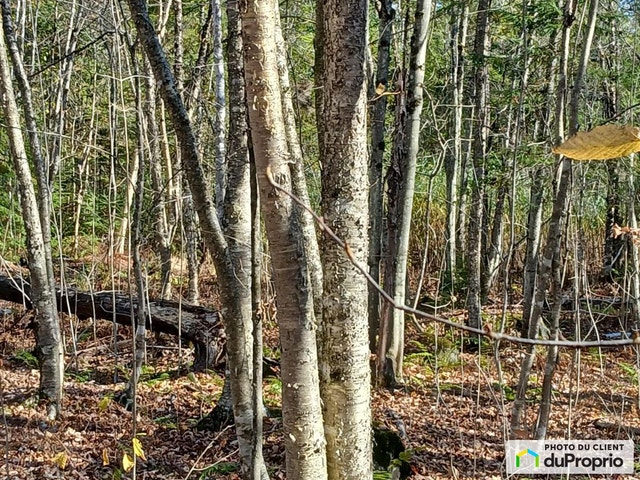 $197,500 - Residential Lot for sale in Orford — photo 3