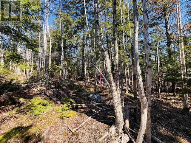 Lot 2 Oldham Road Enfield, Nova Scotia in Land for Sale in City of Halifax - Image 10