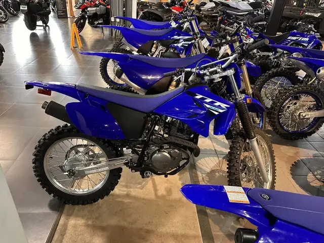 2025 Yamaha TT-R 230 in Dirt Bikes & Motocross in Moncton - Image 3