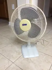 Electric Fan in very good condition $20