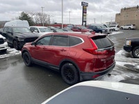 Check out this 2017 Honda CR-V EX before it's too late! * This Honda CR-V is a Bargain with These Op... (image 3)