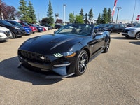 2022 Ford Mustang EcoBoost Convertible- AB Vehicle with only previous owner and has an accident & da... (image 3)