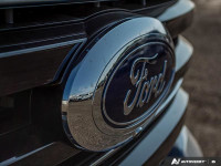 Power Running Boards, B&O Sound System, Adaptive Cruise Control, HUD, Lane Keep Assist, Navigation,... (image 9)