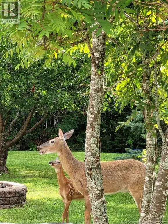 310 Route 102 Burton, New Brunswick in Houses for Sale in Fredericton - Image 31