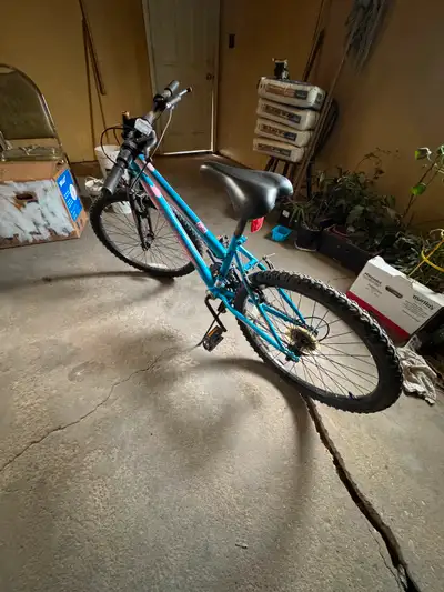 24” kid bike