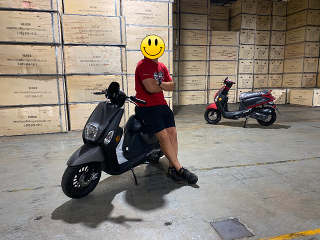 NEW 49CC SCOOTER | STREET LEGAL | MOPED | ELECTRIC START | 50CC in Scooters & Pocket Bikes in Calgary - Image 2