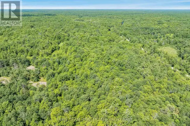 PART LOT 28 CONCESSION 12 BLACK RIVER ROAD Kawartha Lakes (Dalto in Land for Sale in Barrie - Image 8