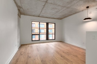 Condo locatif appartement/apartment à louer/for rent-logement Studio 1 chambre/bedroom, 2.5, 2 1/2,... (image 7)