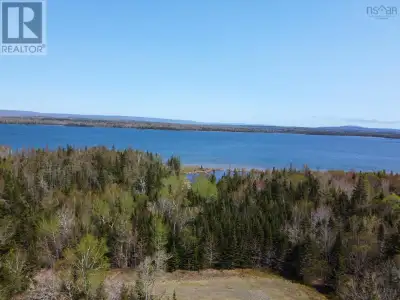 What a perfect location for your new home or cottage. Or just an investment. Over 2 acres of wooded...