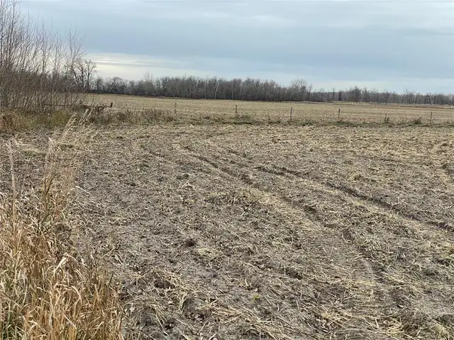 0 40W/47N Road St Claude, Manitoba in Land for Sale in Portage la Prairie - Image 3