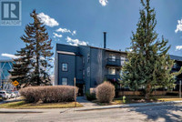 209, 1301 17 Avenue NW Calgary, Alberta