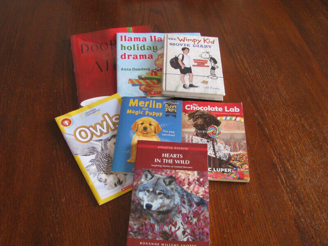 Assorted kids books in Children & Young Adult in Red Deer