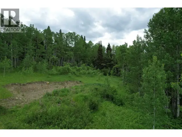 LOT 15 MCCARTHY ROAD Bridge Lake, British Columbia in Land for Sale in 100 Mile House - Image 7