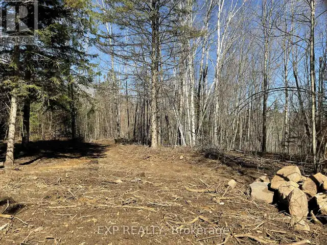 PART LOT 32 AND 33 PART 2 CONC 1 CONCESSION Minden Hills (Snowdo in Land for Sale in Kawartha Lakes - Image 13