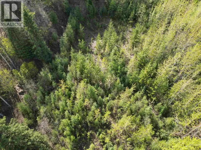 LOT A BALD HILL ROAD Burns Lake, British Columbia in Land for Sale in Burns Lake - Image 8