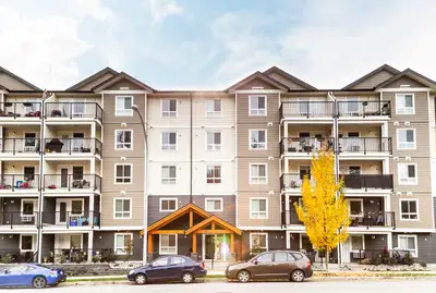 Pet-Friendly One Bedroom One Bath with In-suite Laundry for Rent