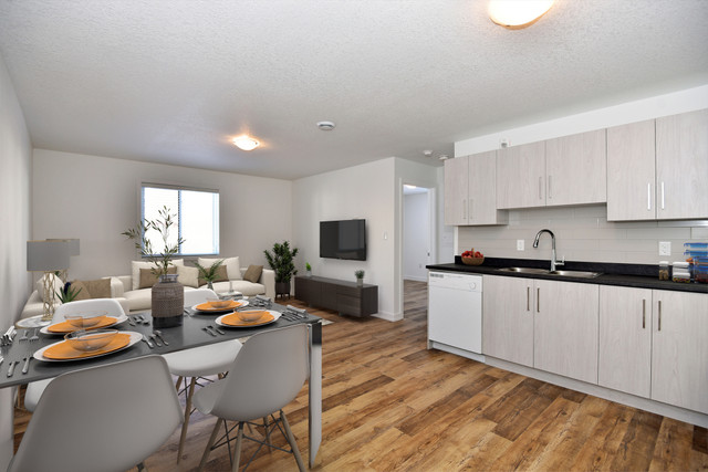 NEWLY RENOVATED 2 & 3 BEDROOM APARTMENT AVAILABLE in Long Term Rentals in Kingston - Image 4