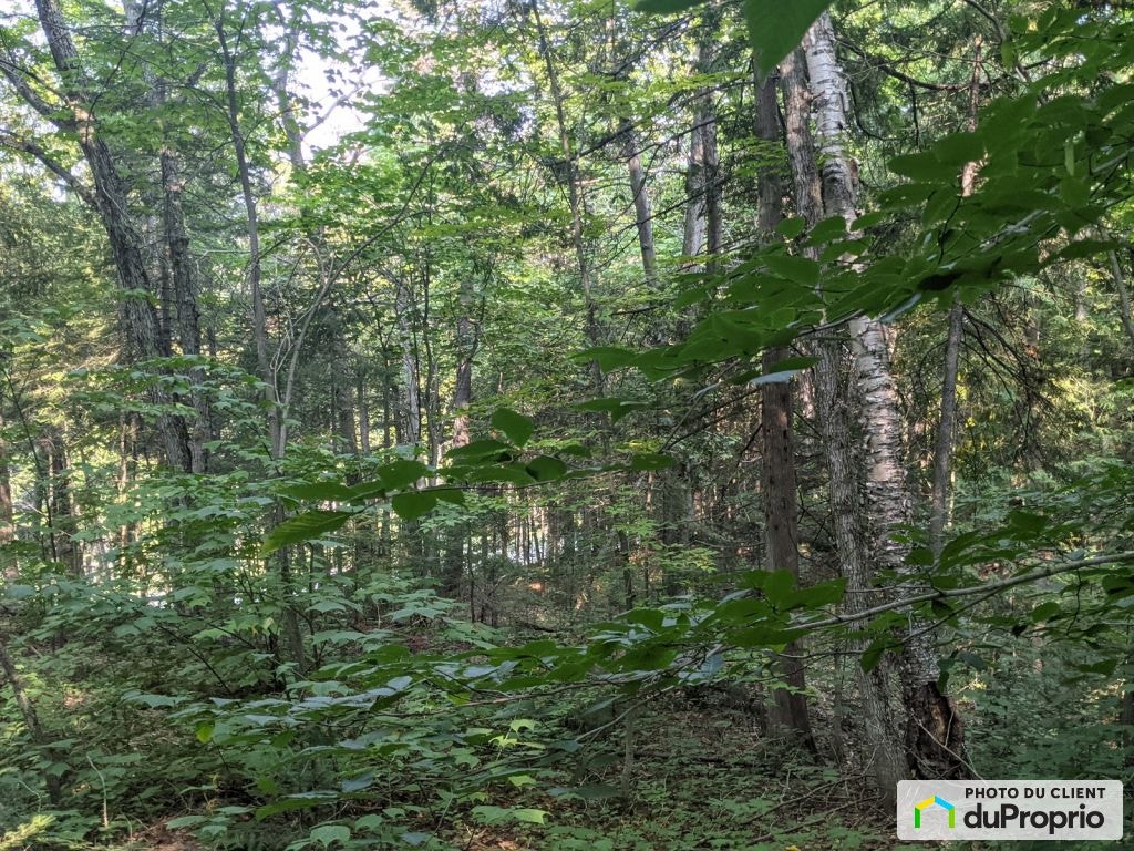 $110,250 - Price taxes not included - Residential Lot - Chertsey — photo 3