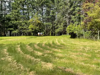 Five beautiful acres of prime undeveloped property on magical Mudge Island. This land has a lovely p...