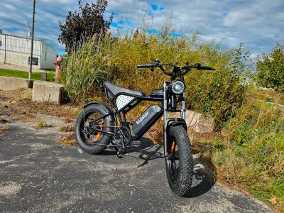 1500W Retro Electric Bike - Powerful Ebike 55km/h - Financing, View more