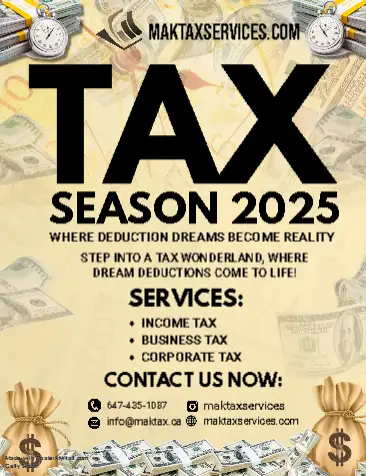 Professional Tax Services62863715366146125